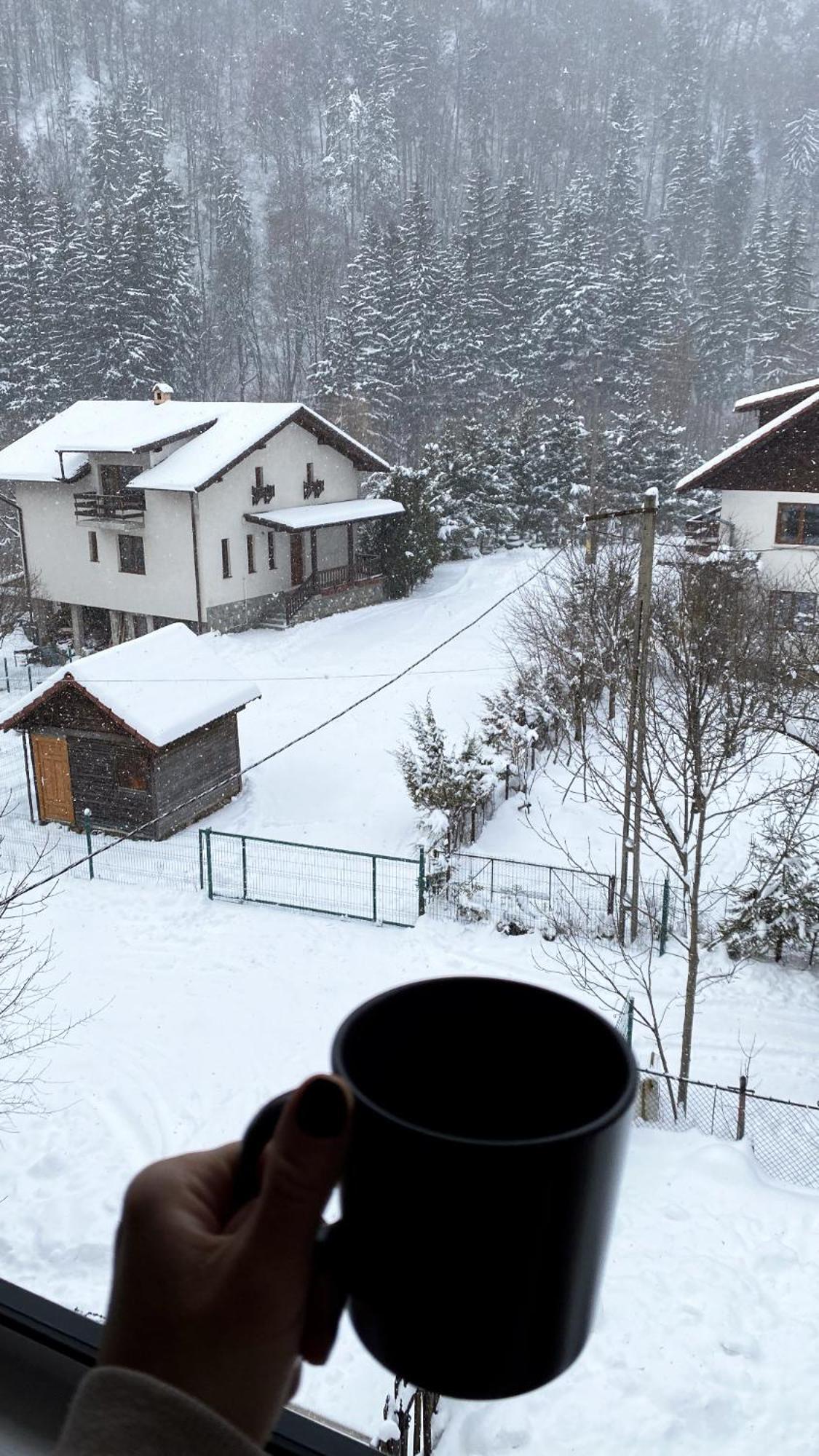 Queen'S Heart Guesthouse Bran (Brasov) Exterior foto
